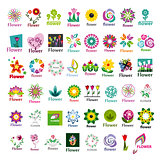 large collection of vector floral logos 