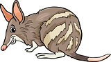 bandicoot animal cartoon illustration