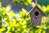 Bird House in Summer Sunshine & Green Leaves 