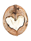 walnut heart