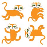 orange cats vector illustration