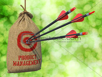 Product Management - Arrows Hit in Red Target.