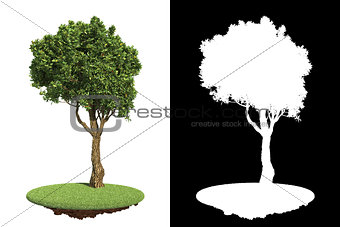 Green Tree Isolated on White Background.