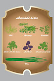 Aromatic herbs set