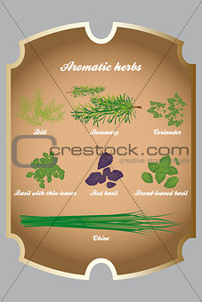 Aromatic herbs set