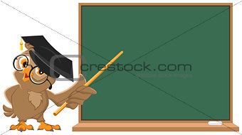 Owl teacher holding pointer at blackboard