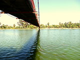 bridge and lake