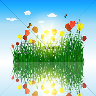 Tulips in grass with reflection in water