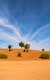 Scenic desert landscape