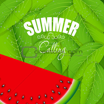 Abstract Natural Summer Background with Watermelon. Vector Illus