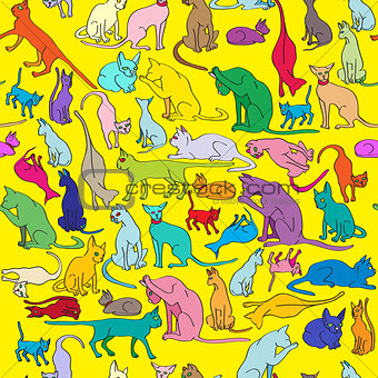colored cats pattern