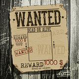 Wanted advertisement