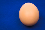 Close-up of brown egg blank template over blue background