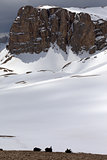 Snowy plateau and three backpack