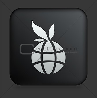 Globe Icon on Square Black Internet Button