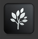 Tree Icon on Square Black Internet Button
