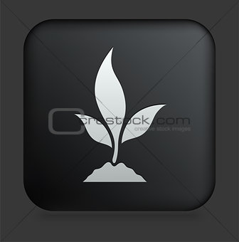 Plant Icon on Square Black Internet Button