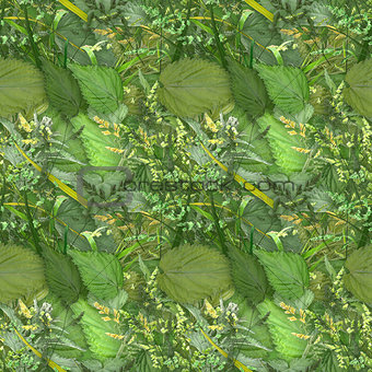 Camouflage seamless background with natural foliage