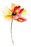 Decorative Gerbera flower