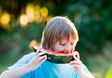 Boy Eating Watermelon 