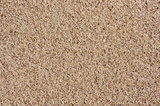 Sand texture. Sand on Baltic beach.