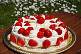 Homemade cake with cream and strawberries 