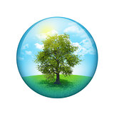 Trees and green landscape. Spherical glossy button