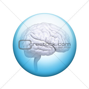 White brain. Spherical glossy button