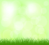 Natural light green grass background
