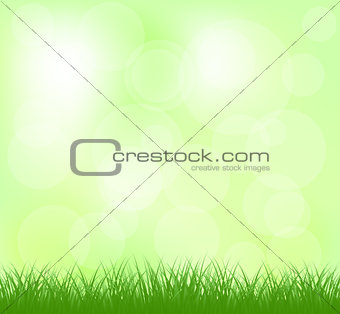 Natural light green grass background