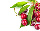 Fresh berries cherry with green leaves