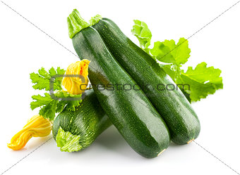 Fresh zucchini with green leaf and flower
