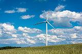 wind farm on rural terrain