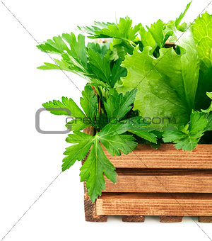 Fresh herbs in wooden box
