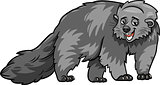 bearcat animal cartoon illustration