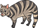 civet animal cartoon illustration