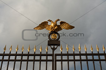 gold double eagle on a steel fence