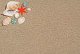 Starfish and shells 