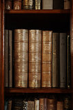 historic old books in library