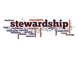 Stewardship word cloud