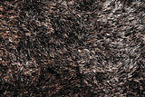 Black carpet