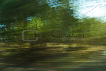 Defocused forest with motion blur effect