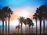 Summer palm tree landscape