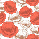 Sketch poppy, vector vintage seamless pattern