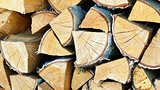 Birch log.