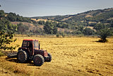 Tractor in a Wheat Field