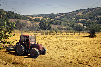 Tractor in a Wheat Field