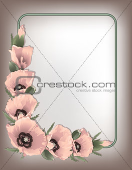 Pink poppies floral horizontal frame