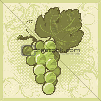 Retro-styled green grape bunch