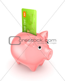 Piggy bank and credit card.